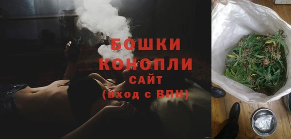 сатива Абинск