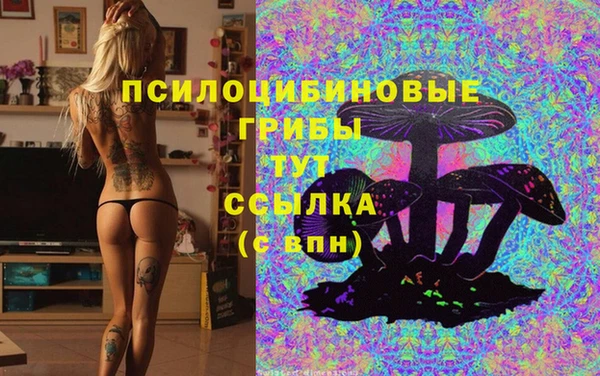 сатива Абинск