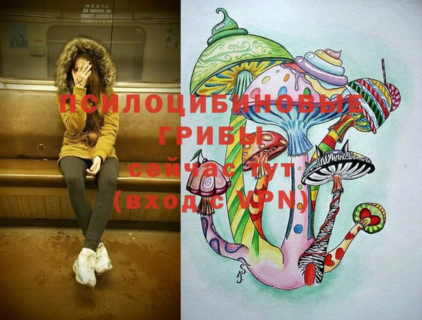 спайс Протвино