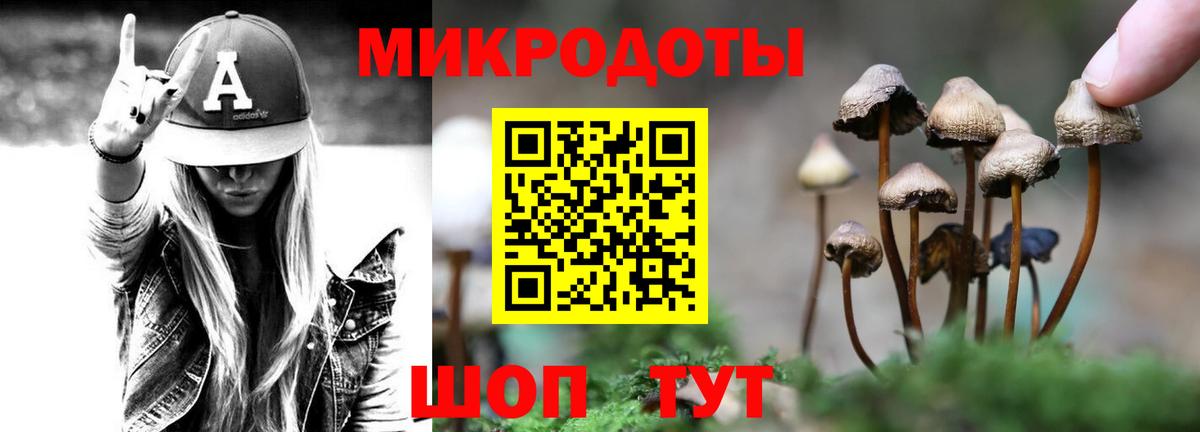 Галлюциногенные грибы Psilocybine cubensis  Псилоцибиновые грибы мухоморы  Ипатово  Вход с VPN 